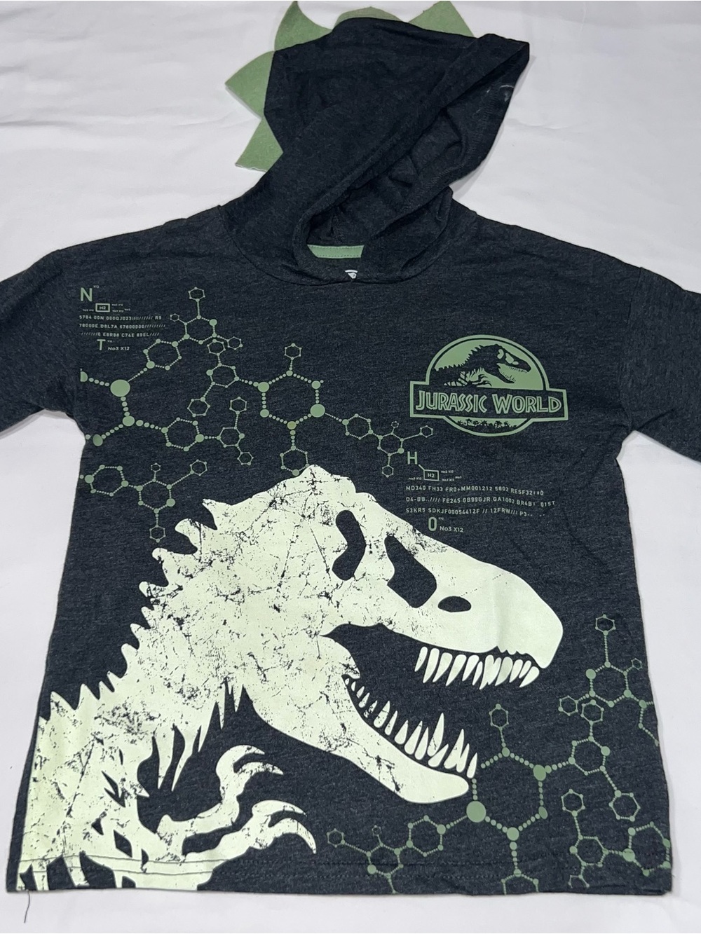 Jurassic World Boys' Short Sleeve Hooded Tee - Dark Gray/Light Green